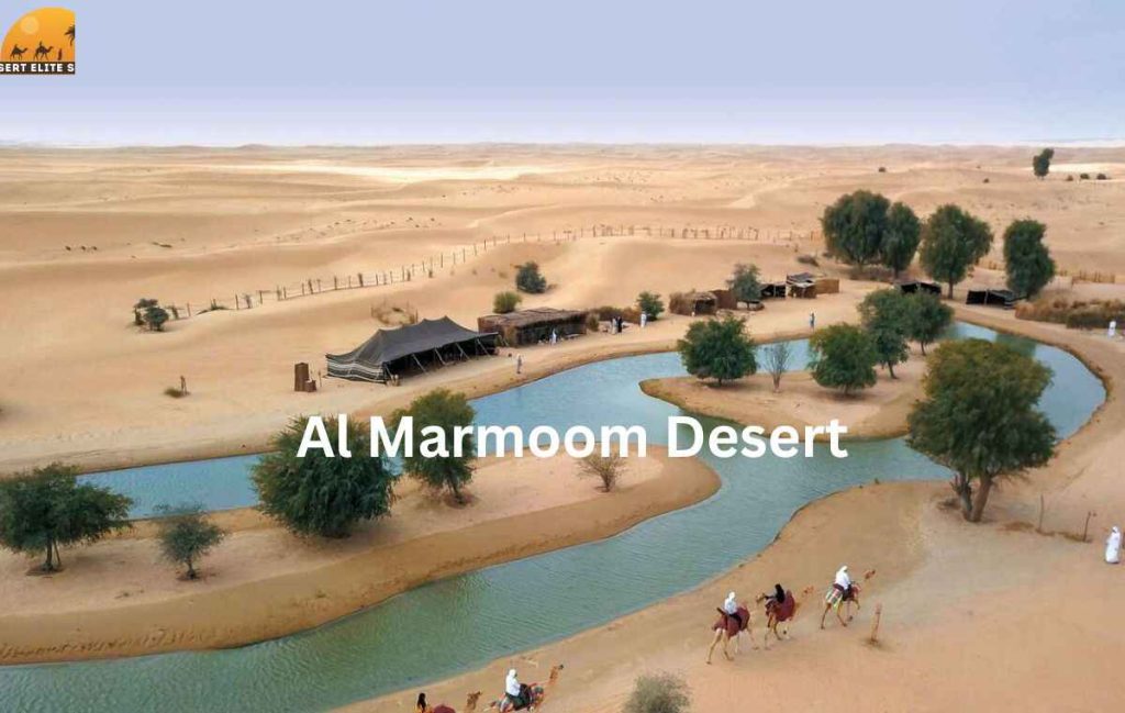 Al Marmoom Desert / Al Marmoom Reserve
