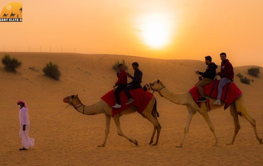Camel ride in Dubai desert during golden sunset