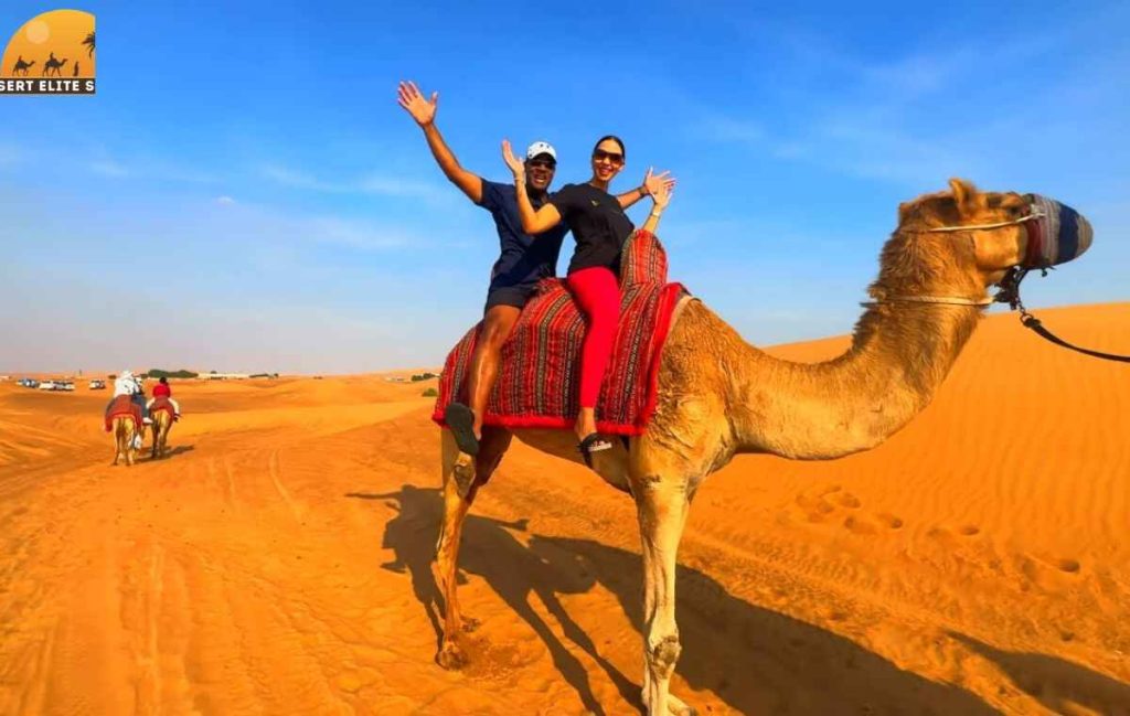 Couple riding camel in Dubai with desert sunset background