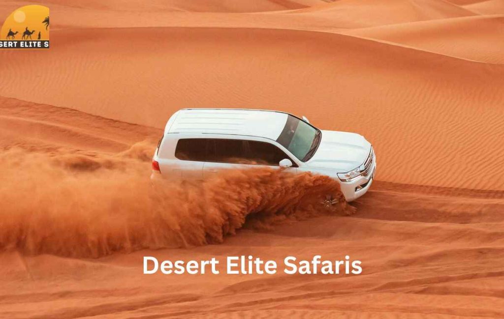 Desert Safari Dubai desert elite safaris (1)