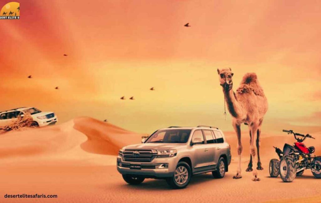 Golden sunrise over Dubai desert dunes during morning safari