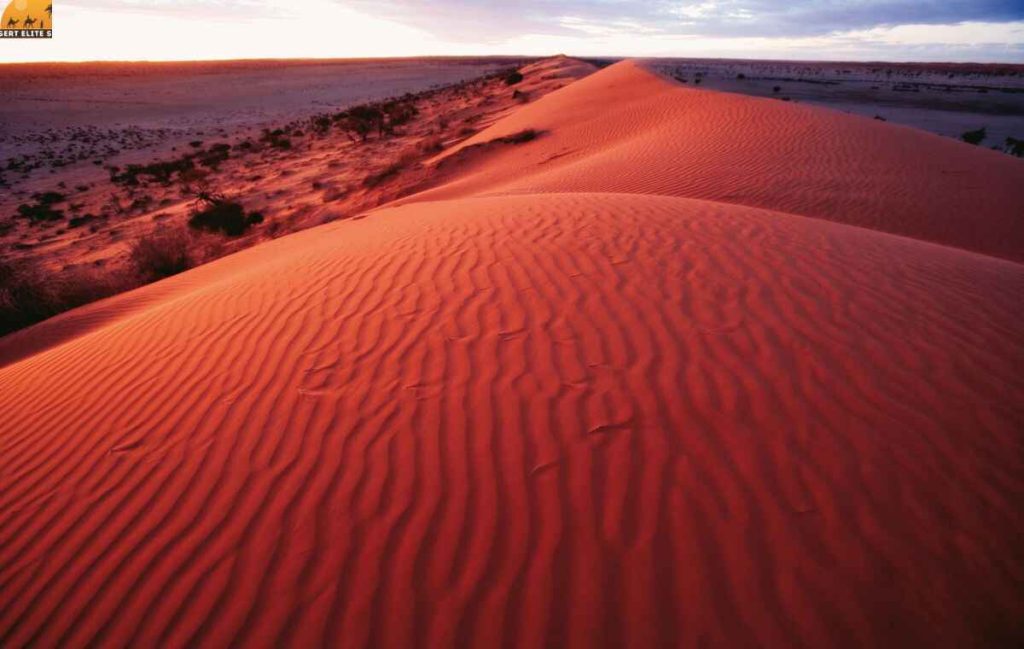 Red Dunes Desert
