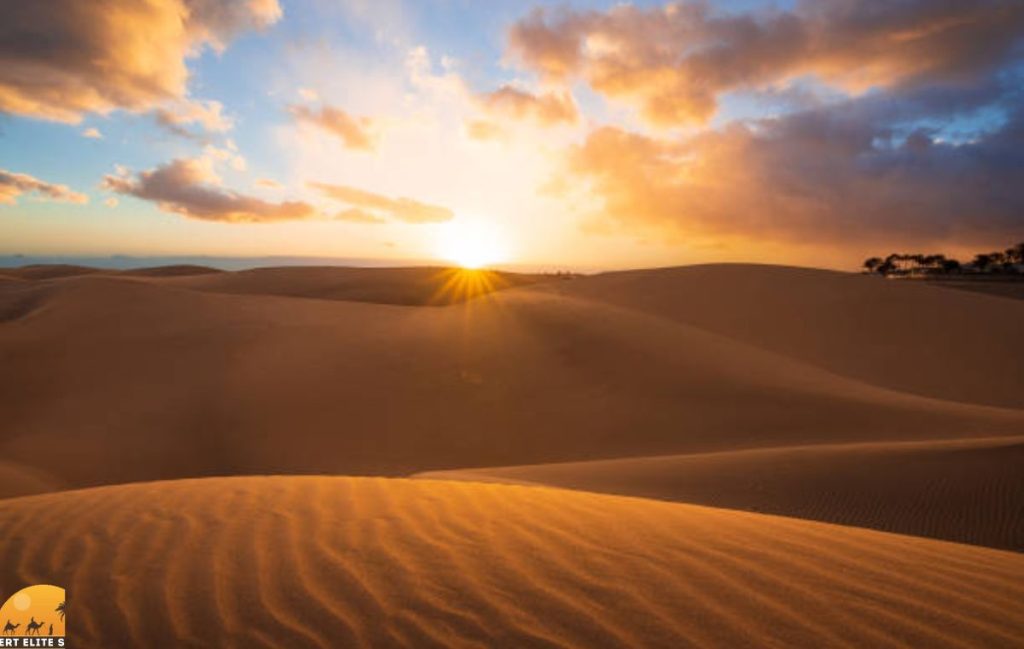 Sharjah desert dunes at sunset with golden sand and calm sky