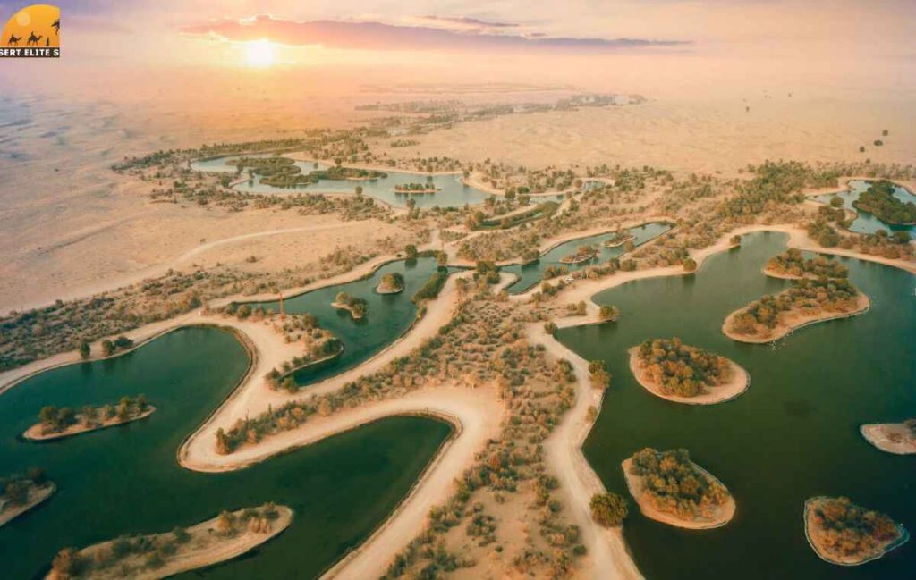 Al Qudra Lake Facts