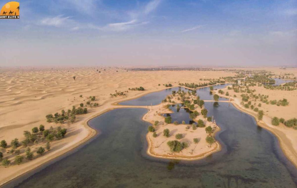 al-qudra-lake-facts-in-dubai-desert-elite-safaris