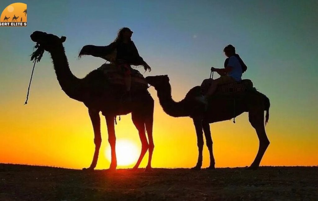 camel ride Dubai