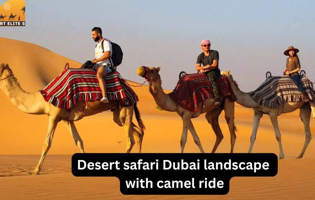 Desert safari Dubai landscape with camel ride