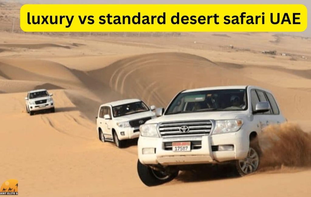 luxury vs standard desert safari UAE