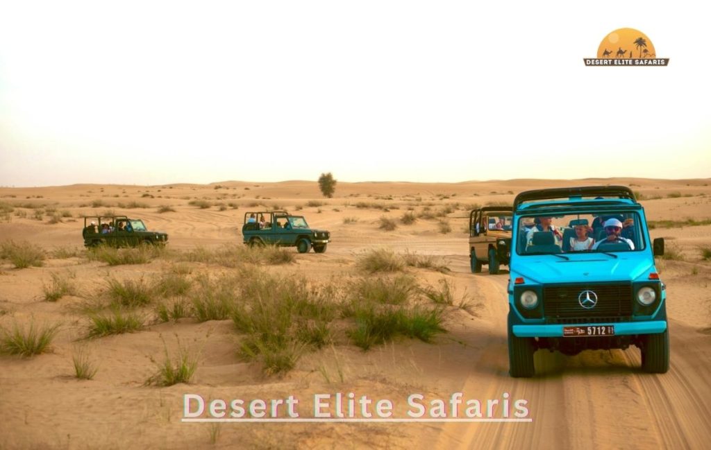 private desert safari dinner Al Marmoom Dubai Desert Elite Safaris