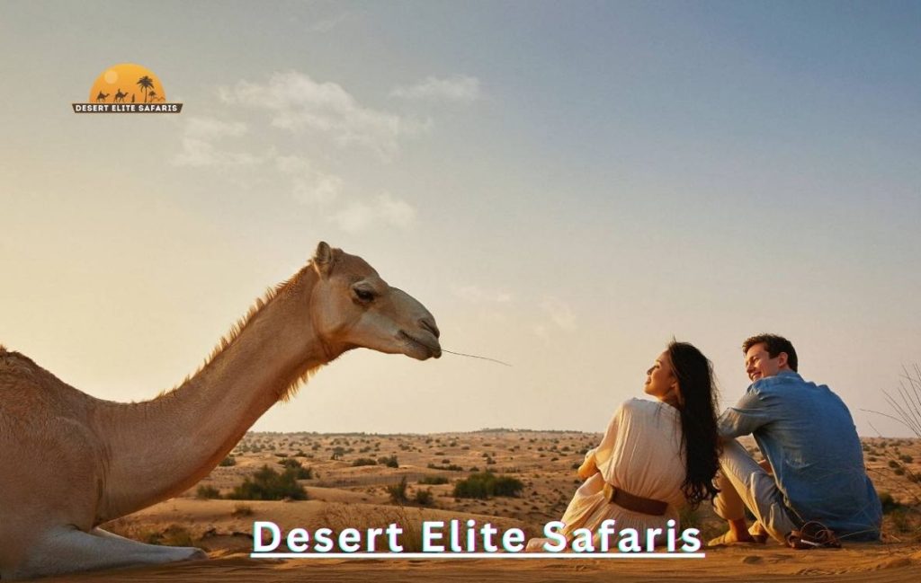 Romantic Desert Safari Dubai for Couples with camel riding
